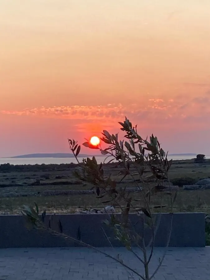 Roris House Villa Povljana 0*,  Croatia